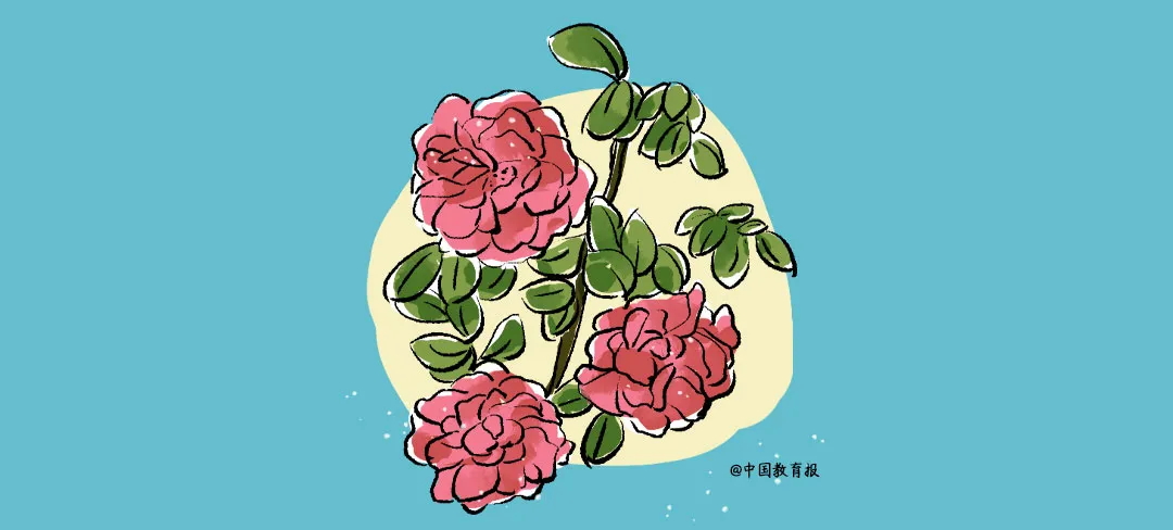 1735264170395070991_看图王.web.jpg